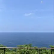 Rolaの画像