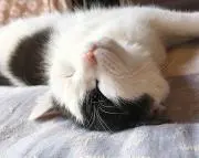 ☆さとみん☆