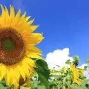 ma-iの画像