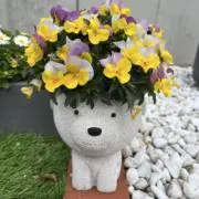 ききの画像