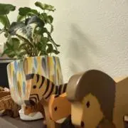Leonidas絵本2冊から、組み替え可の画像