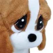 ひだりの画像