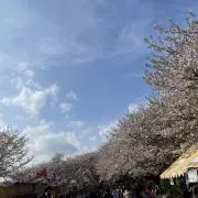 yuchanの画像