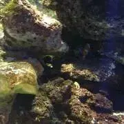 yrの画像