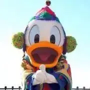 ネコの画像