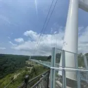 サムくんの画像