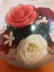 H.S.の画像