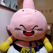 断捨離中につき出品多数