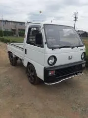 yuzuの画像