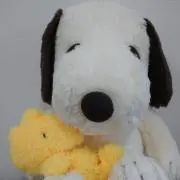 yhmyの画像