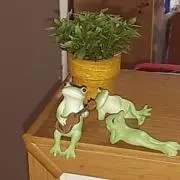 charoの画像