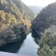 ゆかの画像