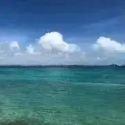 ひよこの画像