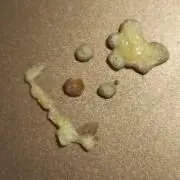 atsuの画像