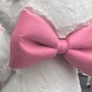 piの画像