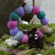 ドレミの画像