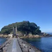 ニコラス　＊基本即日発送※の画像
