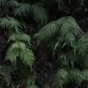 aの画像