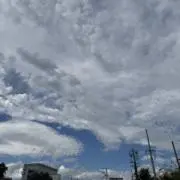 Sentenの画像