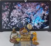 みらもまえの画像