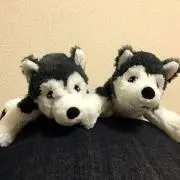 m プロフ必読　即購入歓迎