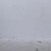 SSssの画像