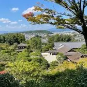 なかうの画像