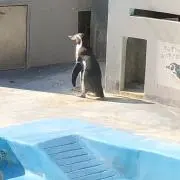 あ