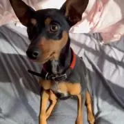 sally