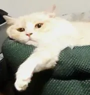 ゆうと
