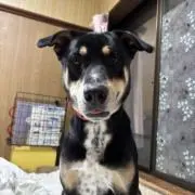 山ちゃん