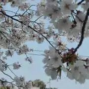 ヒロ