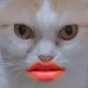 にいな