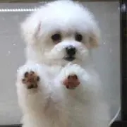 a❤︎の画像