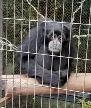 よちお
