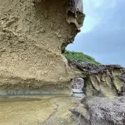 しんちゃんの画像