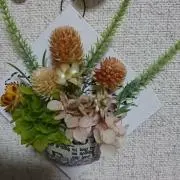 きょんぴい