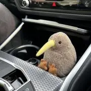 kiwi