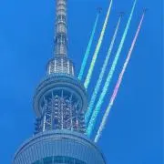 みかんかの画像