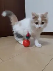 vivi9.20vivi