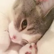 riaro