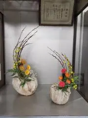 tanpopoの画像