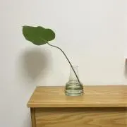 ブルーポイント