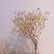 xxasunaxxの画像