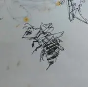 ケンタウロスの画像