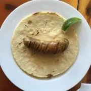 yukkoの画像