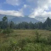 bysの画像