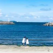 chacha☆の画像