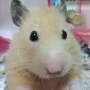 なゆ
