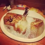 カオリ